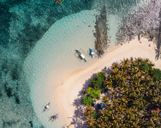 Aerial view of a tropical beach with palm trees and boats